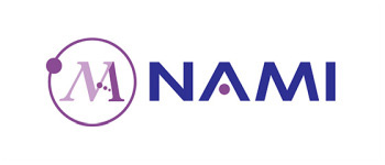The Nano and Advanced Materials Institute Limited