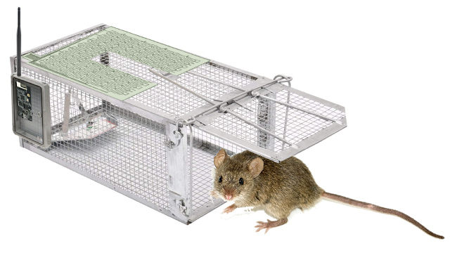 I&T Solution - Smart Rat Trap 2020-08-5